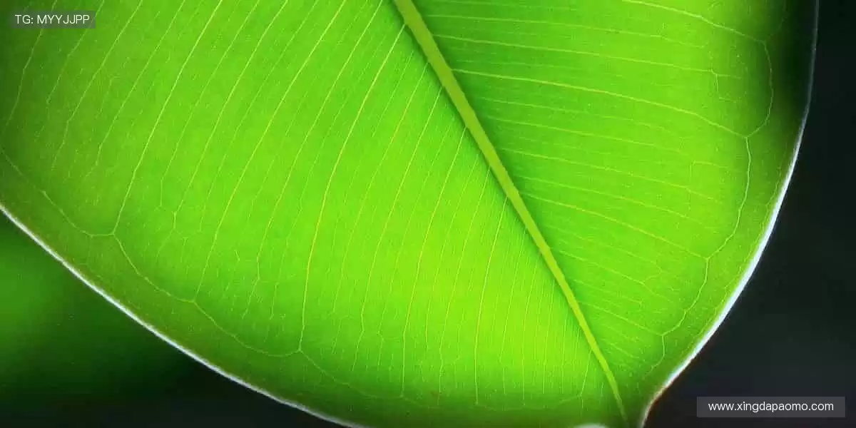 运动装备,你的最佳拍档!⚽